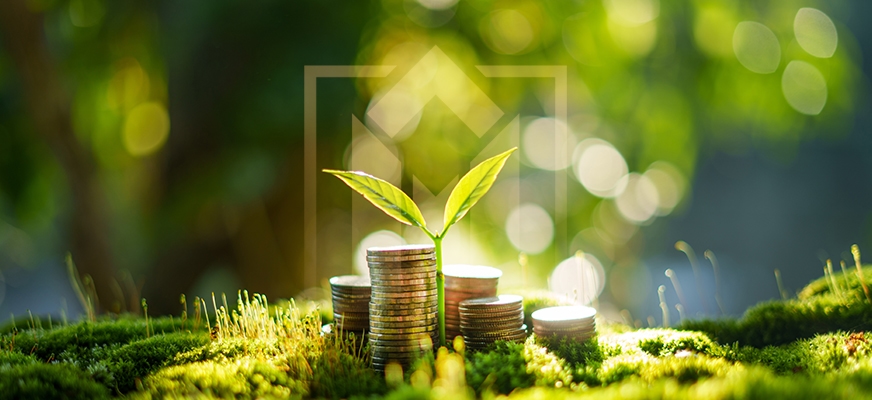 Investors growth and innovation