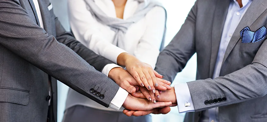 Strategic partnership collaboration